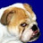 @cathf6746 Avatar