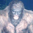 pA5uq7fdnB8-channel-avatar-Bigfoot's Trail