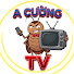 hBKD1jvWa90-channel-avatar-A Cường TV