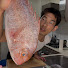 j3lWWke_7TU-channel-avatar-Kazushige Hamada