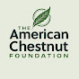The American Chestnut Foundation logo