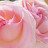 @user-kr8lp6mf7s