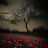 @امنهالسعدي-ج1ف