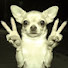 YVAuELVP3vM-channel-avatar-芮林:Playlist