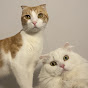 Torra & Chilli