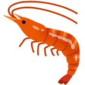 エビシュリンプ