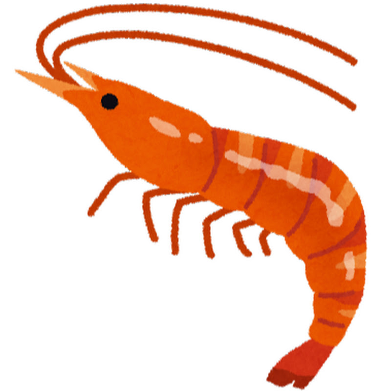 エビシュリンプ