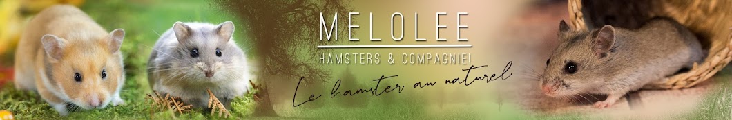 Melolee Hamsters & Compagnie ইউটিউব চ্যানেল অ্যাভাটার