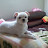 @김영희-g6o1q