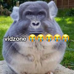 VidZone