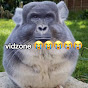 VidZone