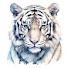 5GLkB9_Mc_8-channel-avatar-퍼펙트스톰 <Storm>