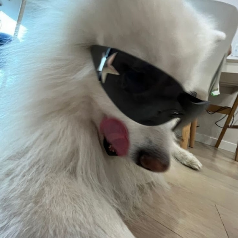 ×{[𝙹𝚞𝚗𝚗𝚒 𝙿𝚕𝚊𝚢}]×