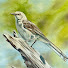 efdtXFO-li8-channel-avatar-Painting with Kevin Miller