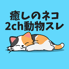 癒しのネコ 2ch動物スレアイコン画像