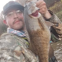 Austin King