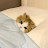 @만땅이-w9m