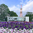 3Vl7UdeP-1Y-channel-avatar-北海道札幌市北区西茨戸ライブカメラ
