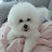 @뭉치뭉치솜뭉치-m8z