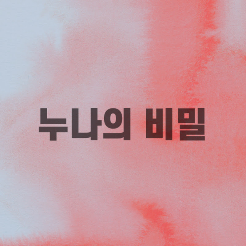 누나의 비밀