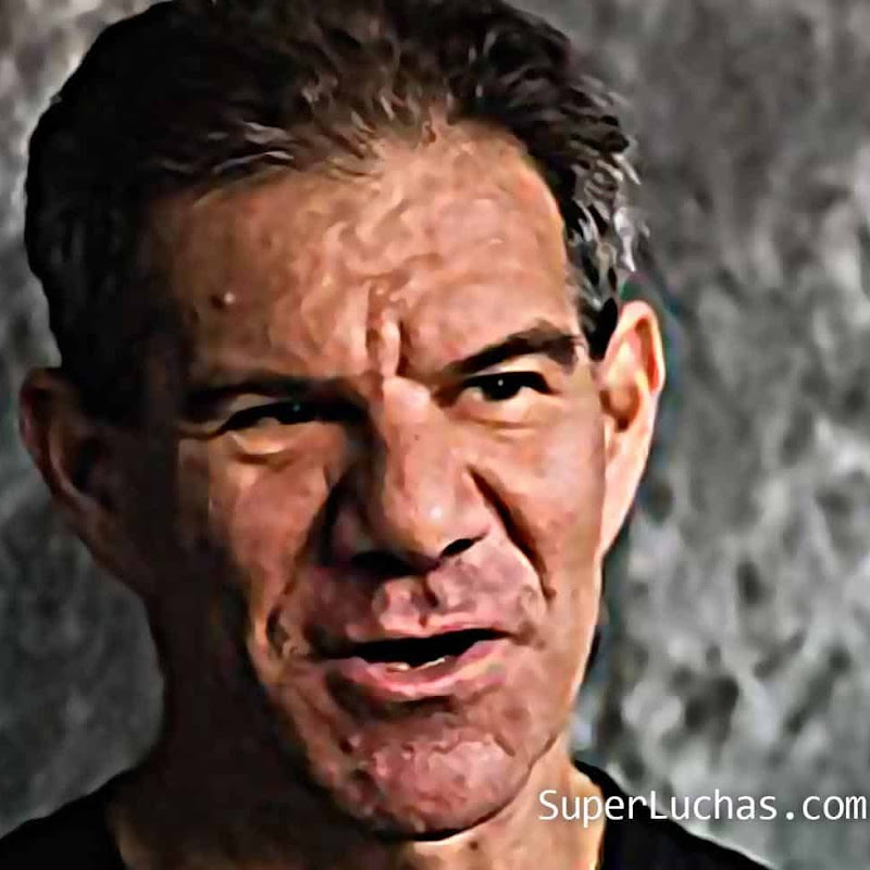Wrestling universe