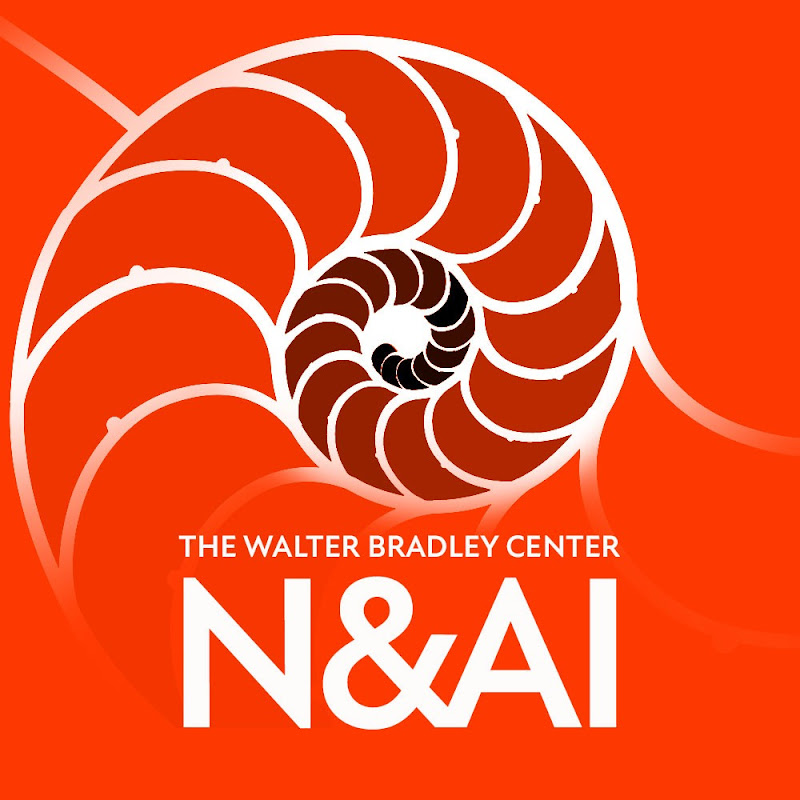 Center for Natural and Artificial Intelligence