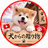 DgpEyIv8528-channel-avatar-犬からの贈り物