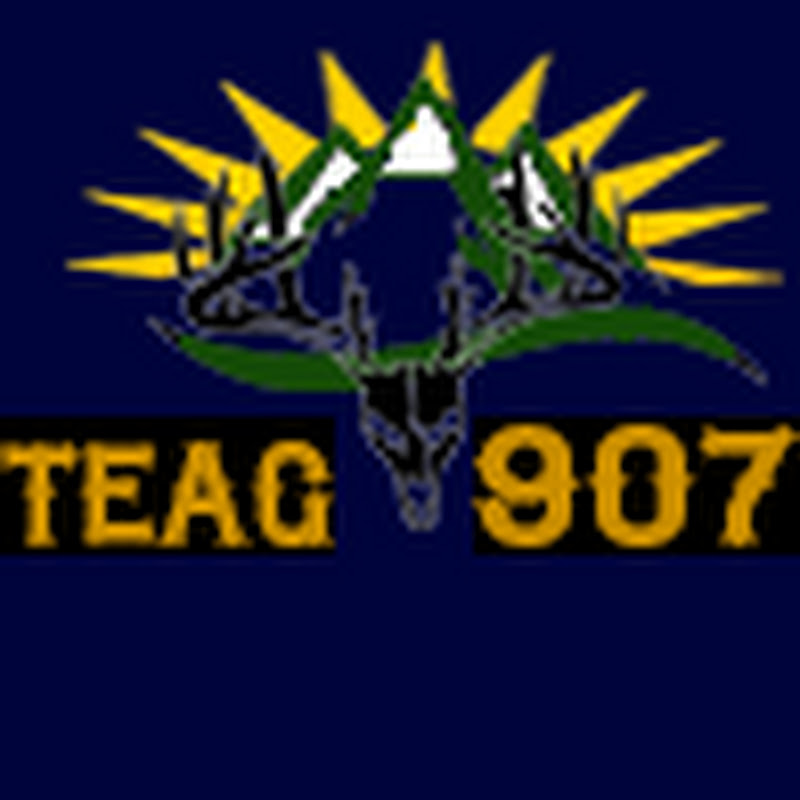 teag907