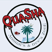QuaSha Animals & Trees zone