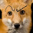 The Mr Fox 🦊