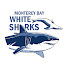 eJdfyFnlc9Y-channel-avatar-Monterey Bay White Sharks