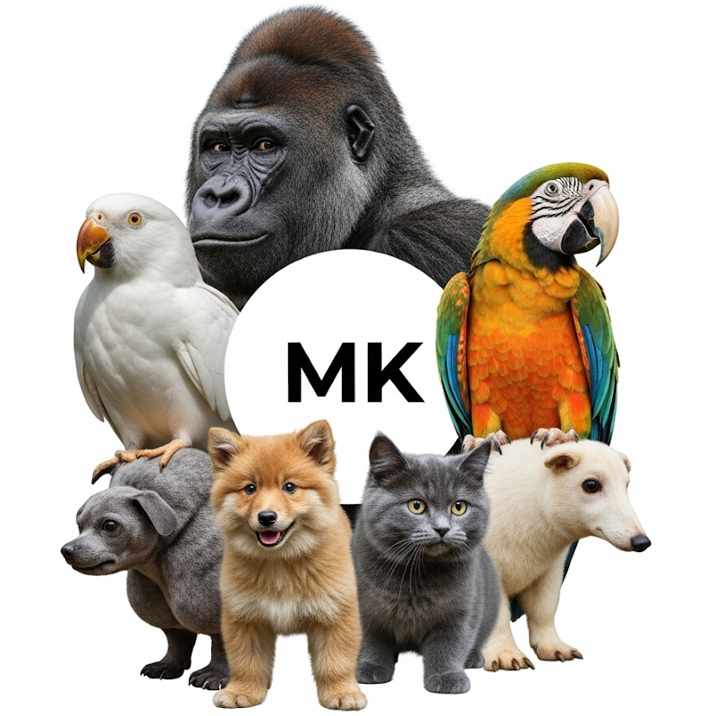 MK WildLife 🐾