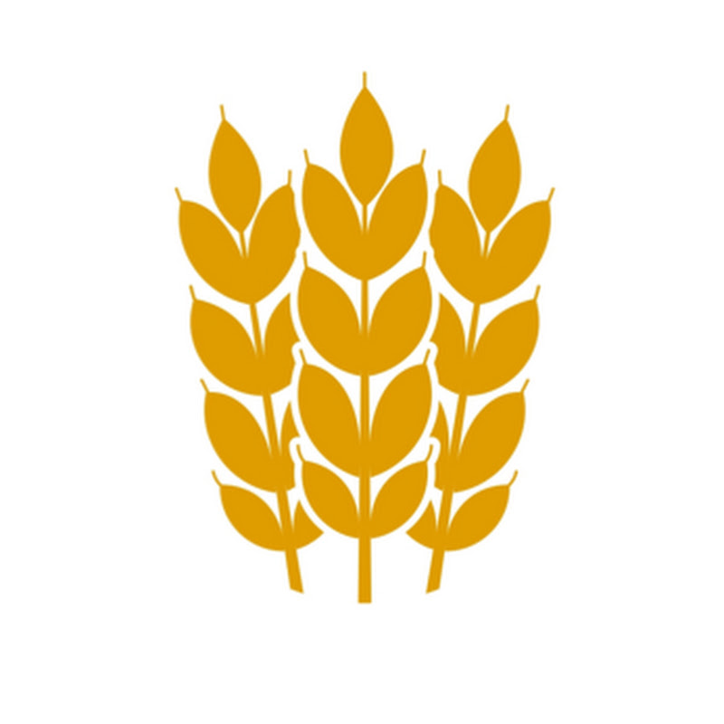 PASTA CLASS FLORENCE