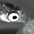 p6lrTEMZhhY-channel-avatar-gupp