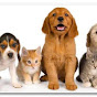 Essential Pet products USA logo