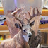 JcxlkpifzVs-channel-avatar-Buck Ten USA