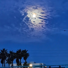 Shadow bannedアイコン画像