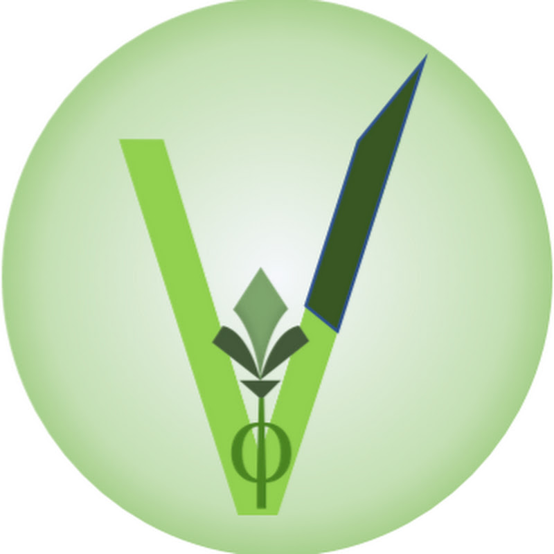 Velum
