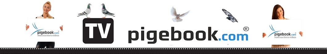 PIGEBOOK Avatar canale YouTube 