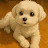 @코코리따0320