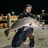 xUIulOSXXso-channel-avatar-Sydney_fishing_