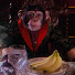U8mYoTQPBCg-channel-avatar-Eddy Poblete - Artist / Entrepreneur 