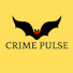 83ThI23kmEg-channel-avatar-Crime Pulse