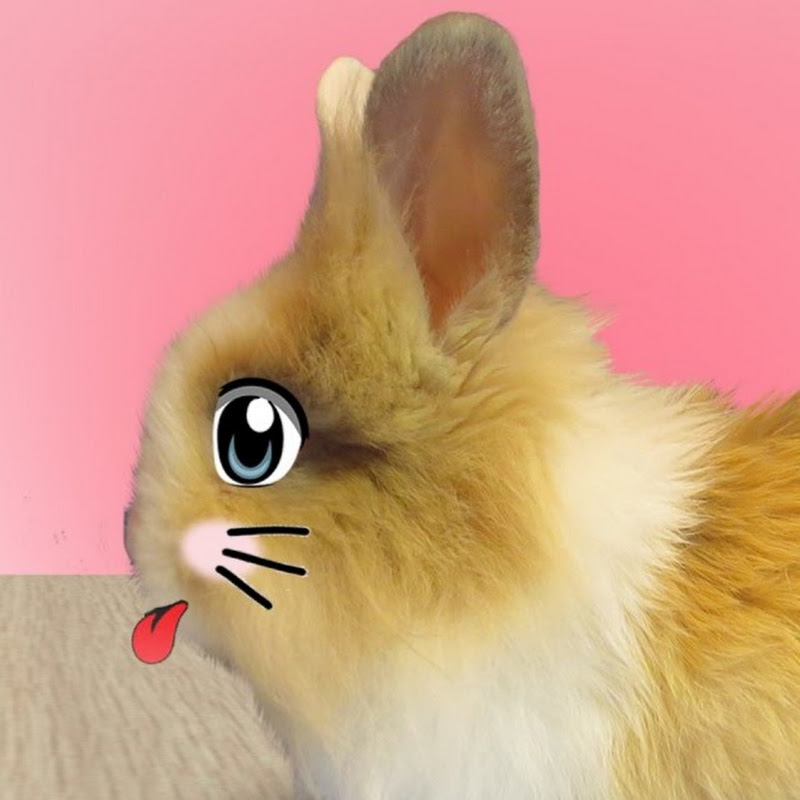 КРОЛИК БАФФИ Logo