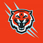 Tiger Review Image Thumbnail