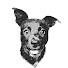 gKl_sNJiTtU-channel-avatar-Lossdog and Tom Sosnoff