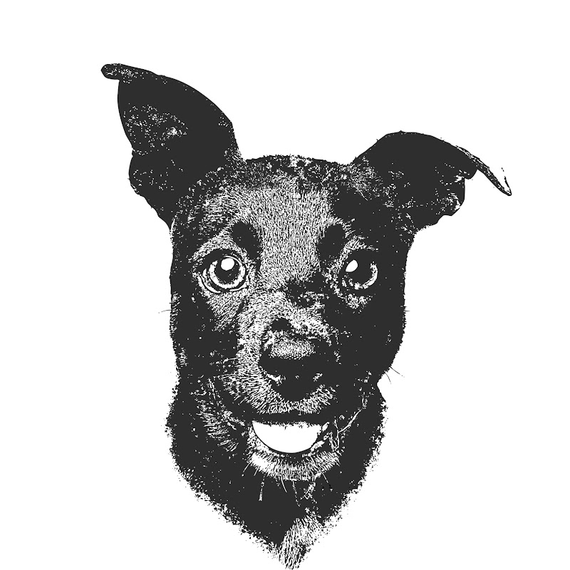 Lossdog