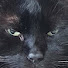 1ewyOVl8DSY-channel-avatar-massive456