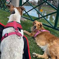 Profile Picture of Gürkan Engiz