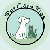 Pet Care Tips